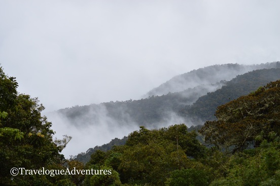 Clouds rising from the mountains in Los Quetzales National Park