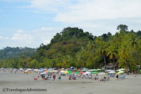 Manuel Antonio Beach Picture