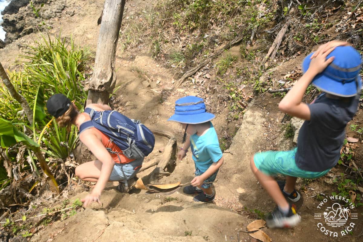 people climbing down a steep trail