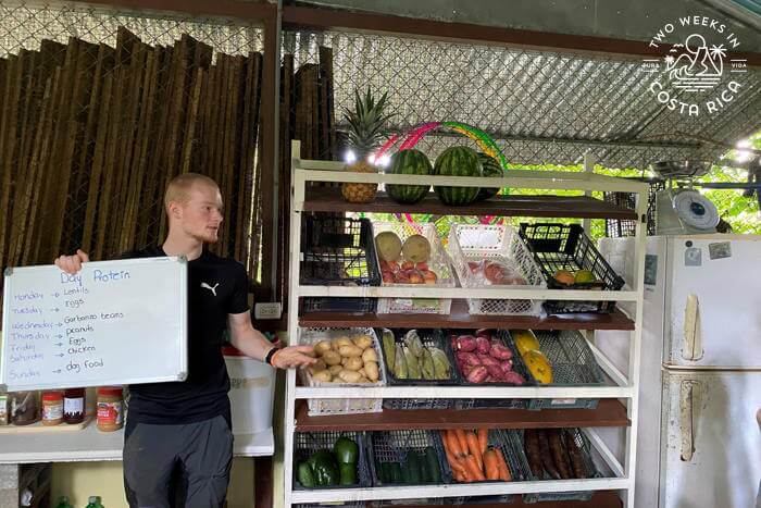 Wildlife Animal Kitchen at Kids Saving the Rainforest