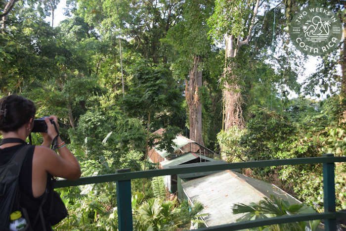 Platform Ara Manzanillo