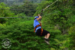 Zip lining through jungle