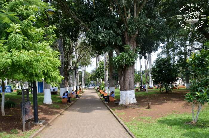 Locals Atenas Parque Central