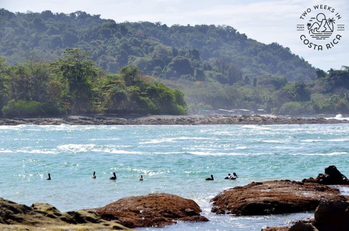 View of Bahia Barigona
