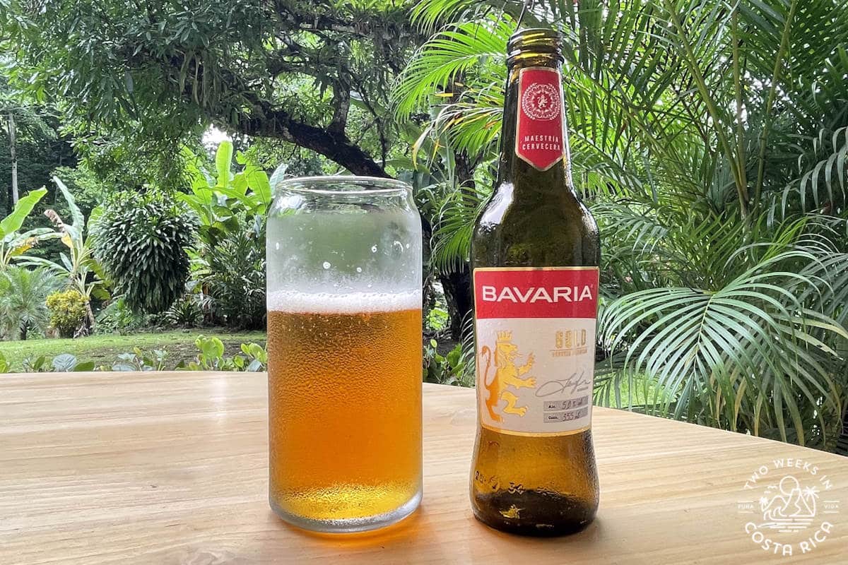Bottle of Bavaria Gold Beer displayed next to a beer glass filled with Bavaria Gold