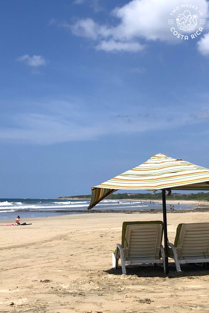 lounge chairs and umbrella on the beach in playa avellanas