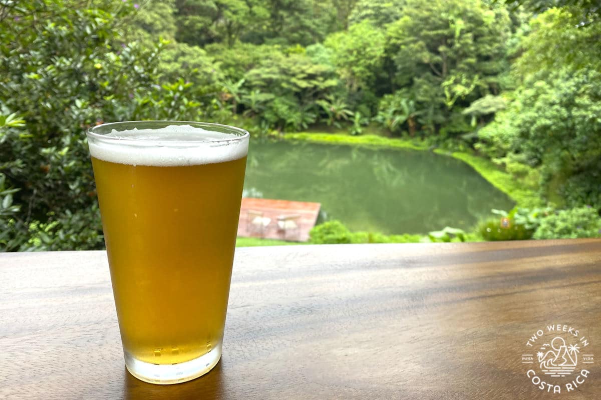 Beer on a table with background view of cloud forest and small pond