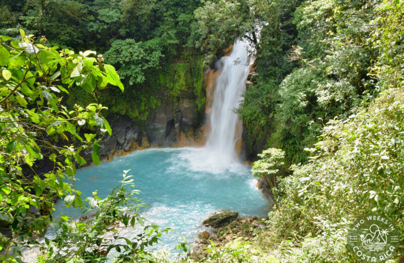 blue waterfall with thick forest surrounding it