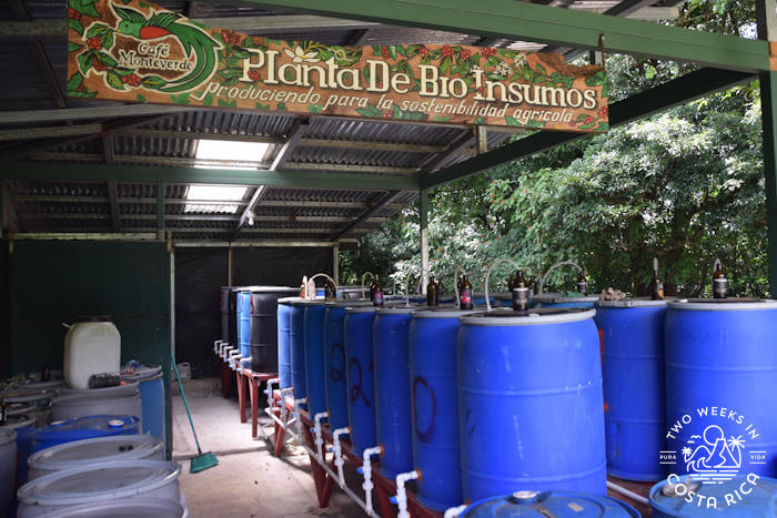 Fermentation natural fertilizer