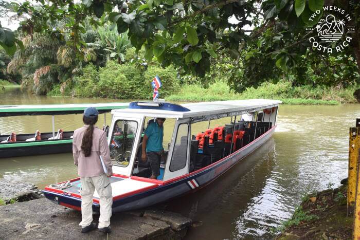 Boat, Cano Blanco to Tortuguero
