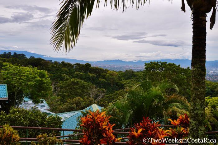 Hotel with rainforest views near San Jose Airport Costa Rica