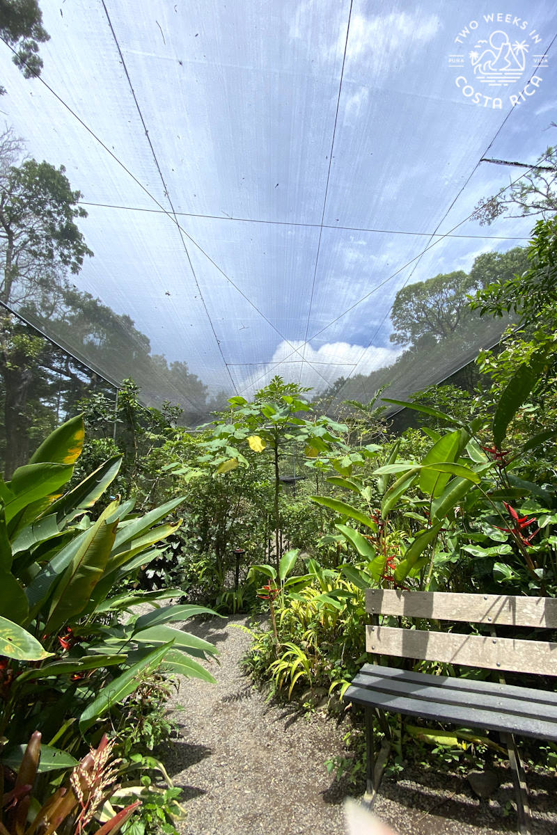the open butterfly enclosure with a bench