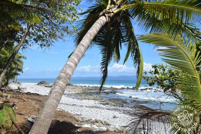 Cabo Matapalo Destination Guide