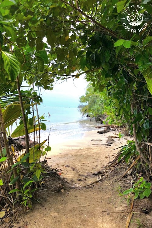 looking through an opening on the trail at a beautiful beach
