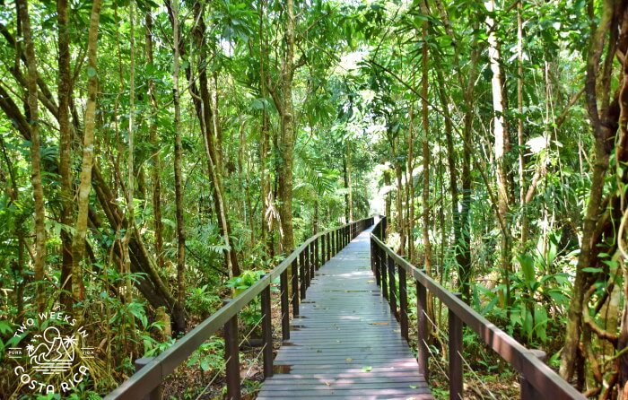 Boardwalk Cahuita National Park