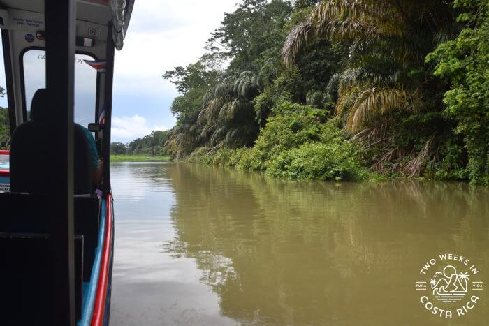 Cano Blanco Boat Taxi to Tortuguero
