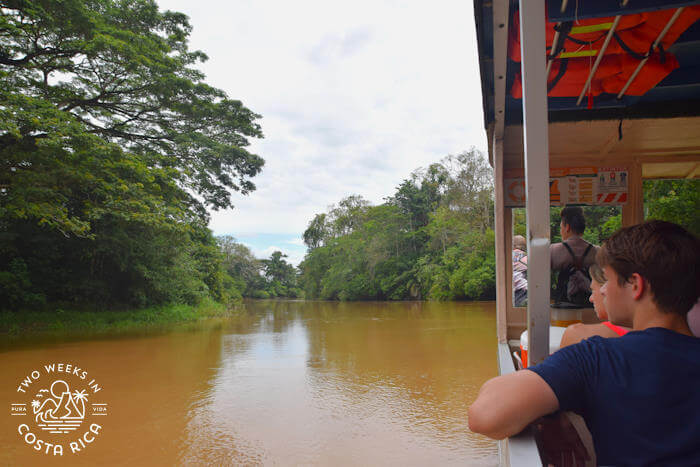 People looking out from a covered boat at the murky waterway during a Cano Negro boat tour