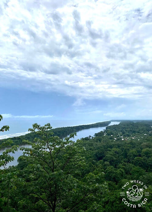 aerial view of lush green forest with river canal and ocean in background at cerro tortuguero