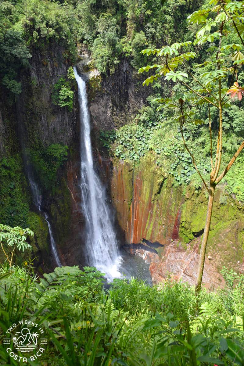looking down at the dramatic catarata del toro