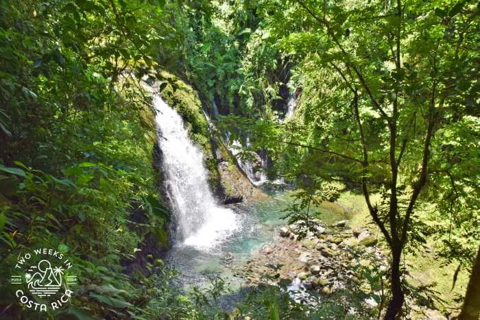View of Catarata Las Nacientes from the trail above