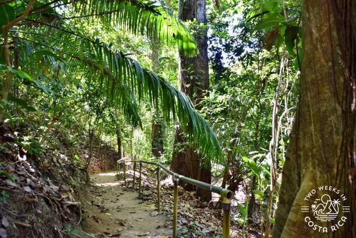 Flat trail conditions on Ceiba trail