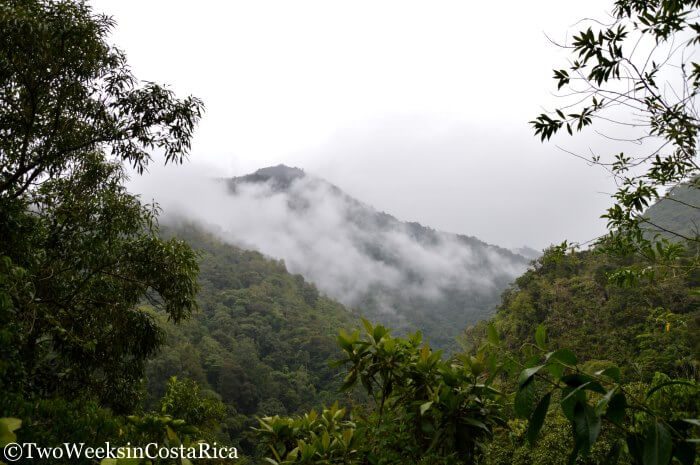 Cloud forest views at a nature reserve near San Isidro del General, Costa Rica