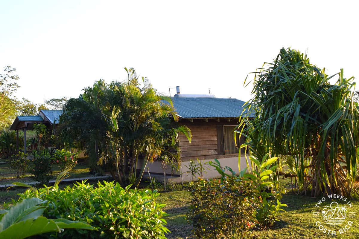 a wooden cabin surrounded by gardens and trees