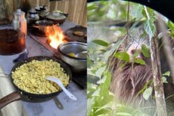 photos of a sloth and food cooking over a woodstove