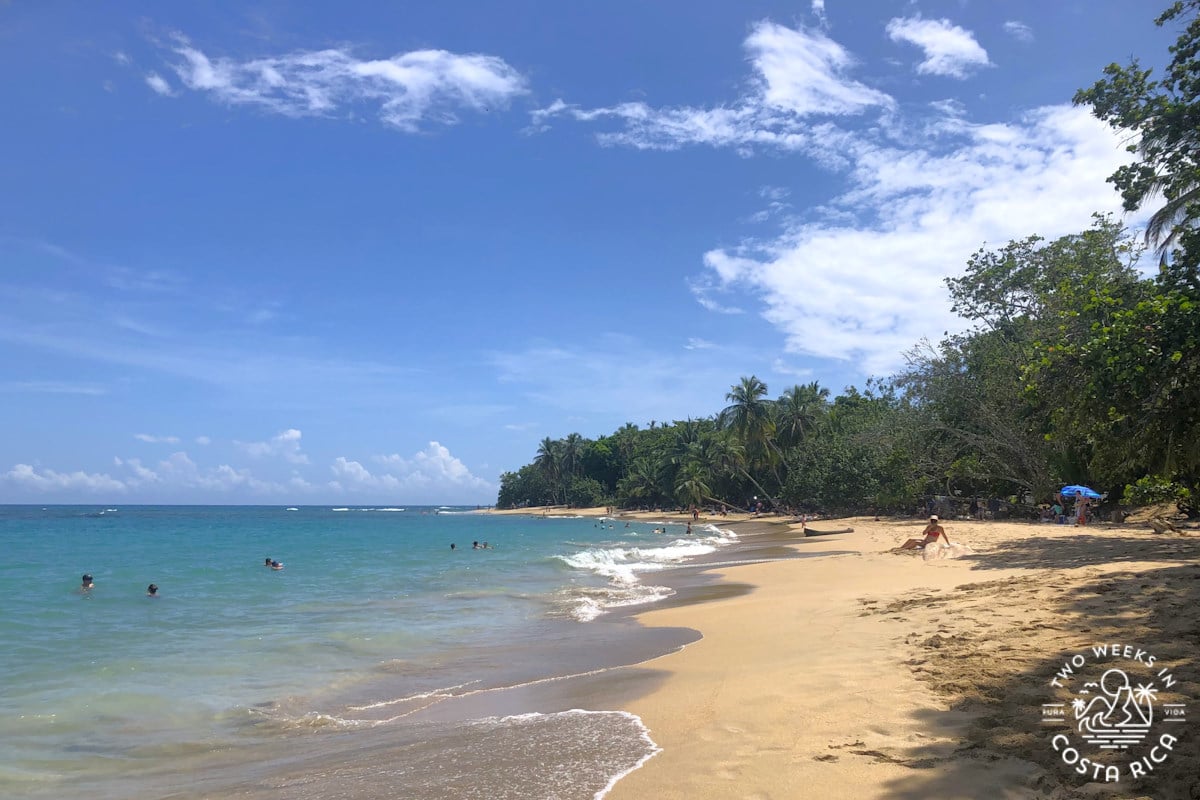 A tan sand beach with blue water backed by jungle