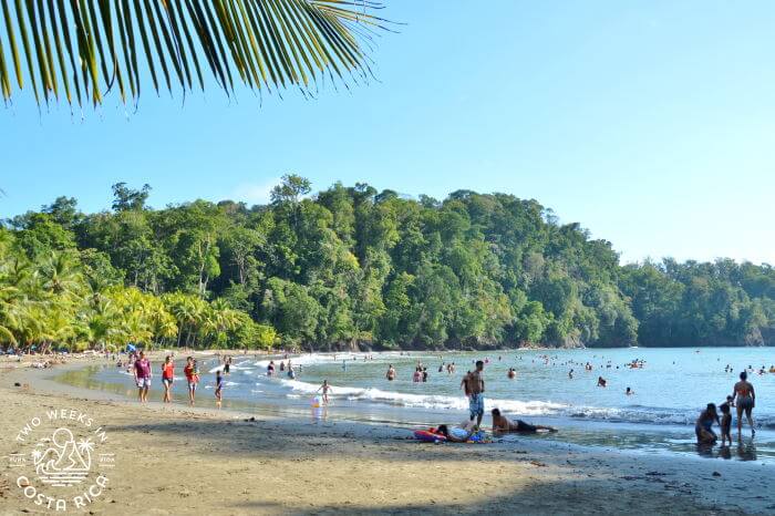 Beach During Christmas Costa Rica
