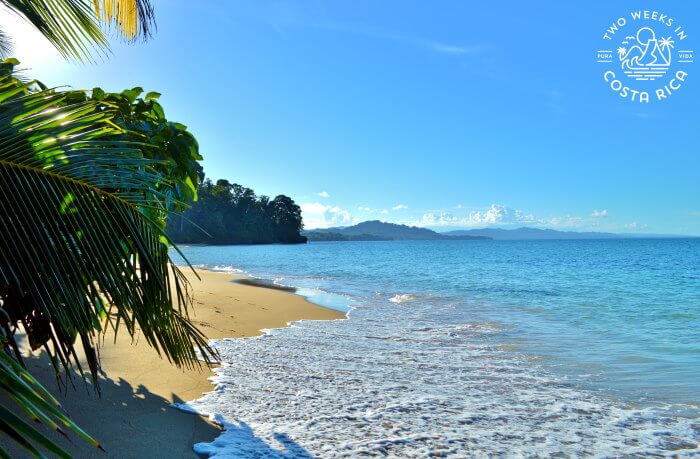 Punta Uva Beach Puerto Viejo