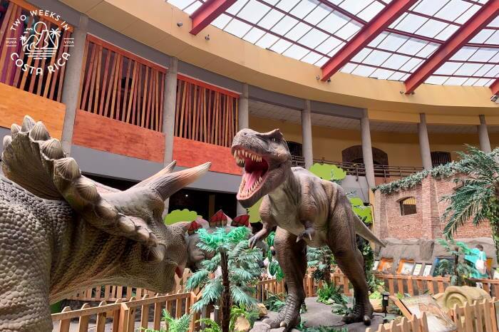 Dinosaur Exhibit