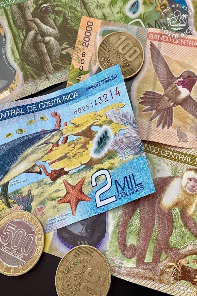 colorful paper bills and coins
