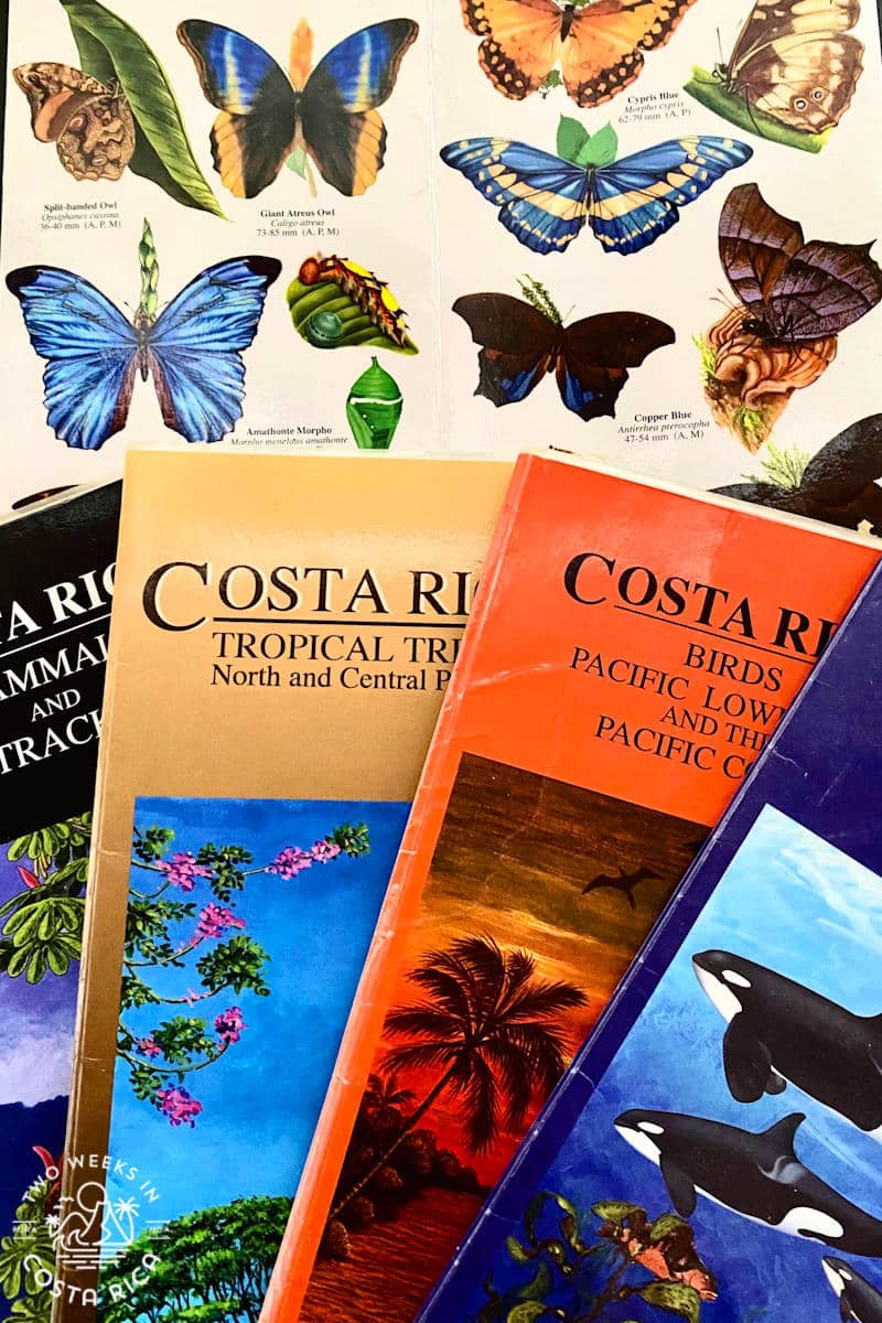 pamphlets with wildlife that say costa rica