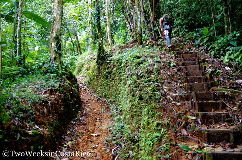 Trail to Diamante Waterfall | Two Weeks in Costa Rica