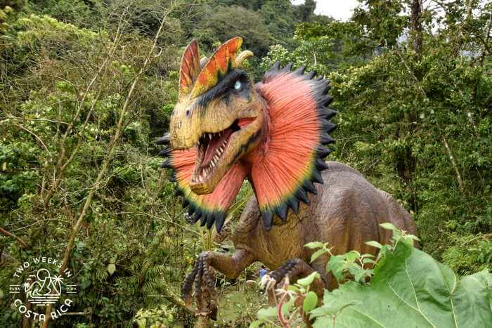 Dilophosaurus Dino Land