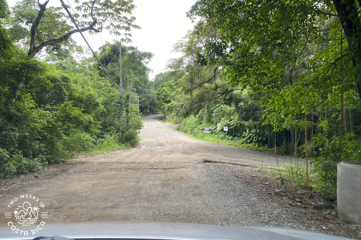 a dirt road near boca nosara with many trees
