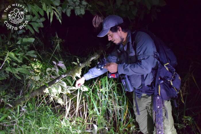 Fieldwork at Tapir Valley