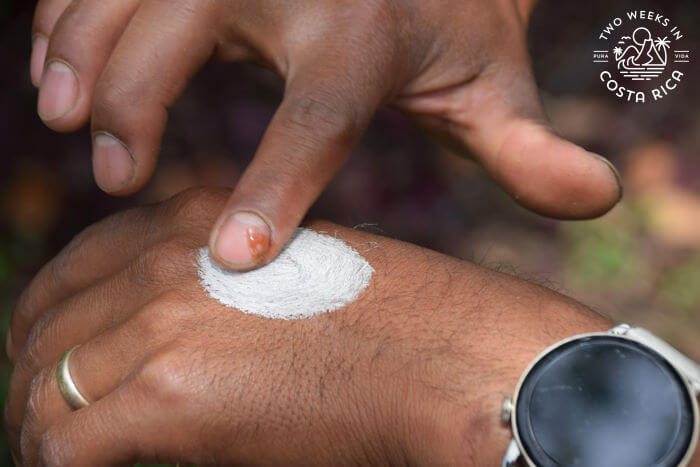 Rubbing resin from Dragon tree