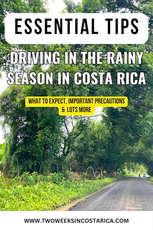a dirt road with large trees on the sides and text overlay that reads essential tips driving in the rainy season in costa rica