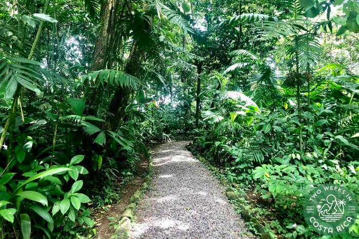 Trail Ecocentro Danaus