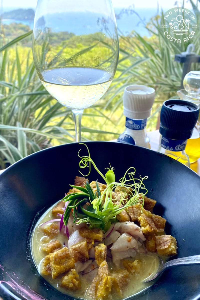 bowl of fish in coconut milk with a glass of wine in front of the ocean