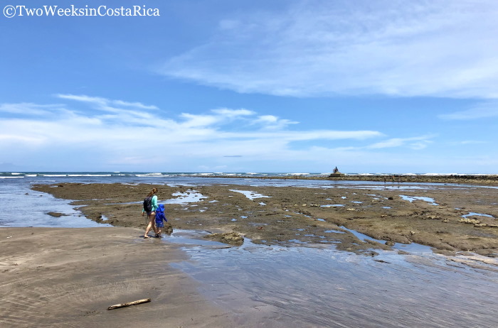 Tidepools at Playa Esterillos Oeste