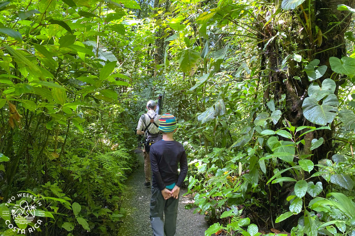 a family hiking on a trail through the cloud forest in monteverde