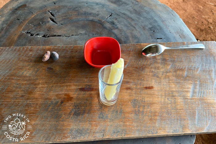 Shot glass on a wooden table with a piece of sugar cane inside