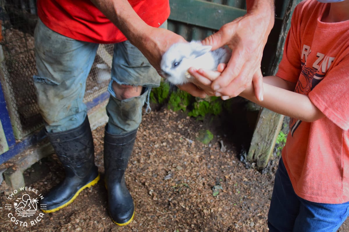 people holding a bunny rabbit at a farm