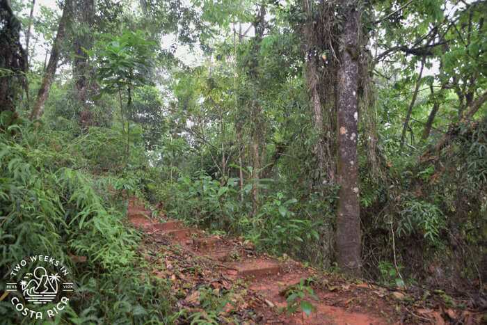 Bee Farm Property Villa Nueva