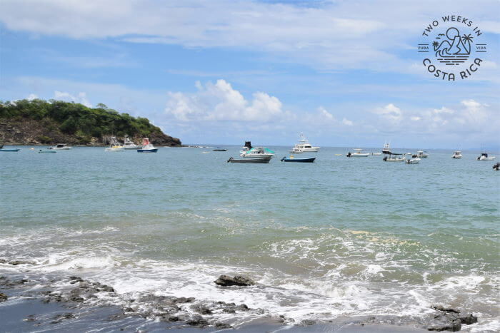 Moored boats just offshore 