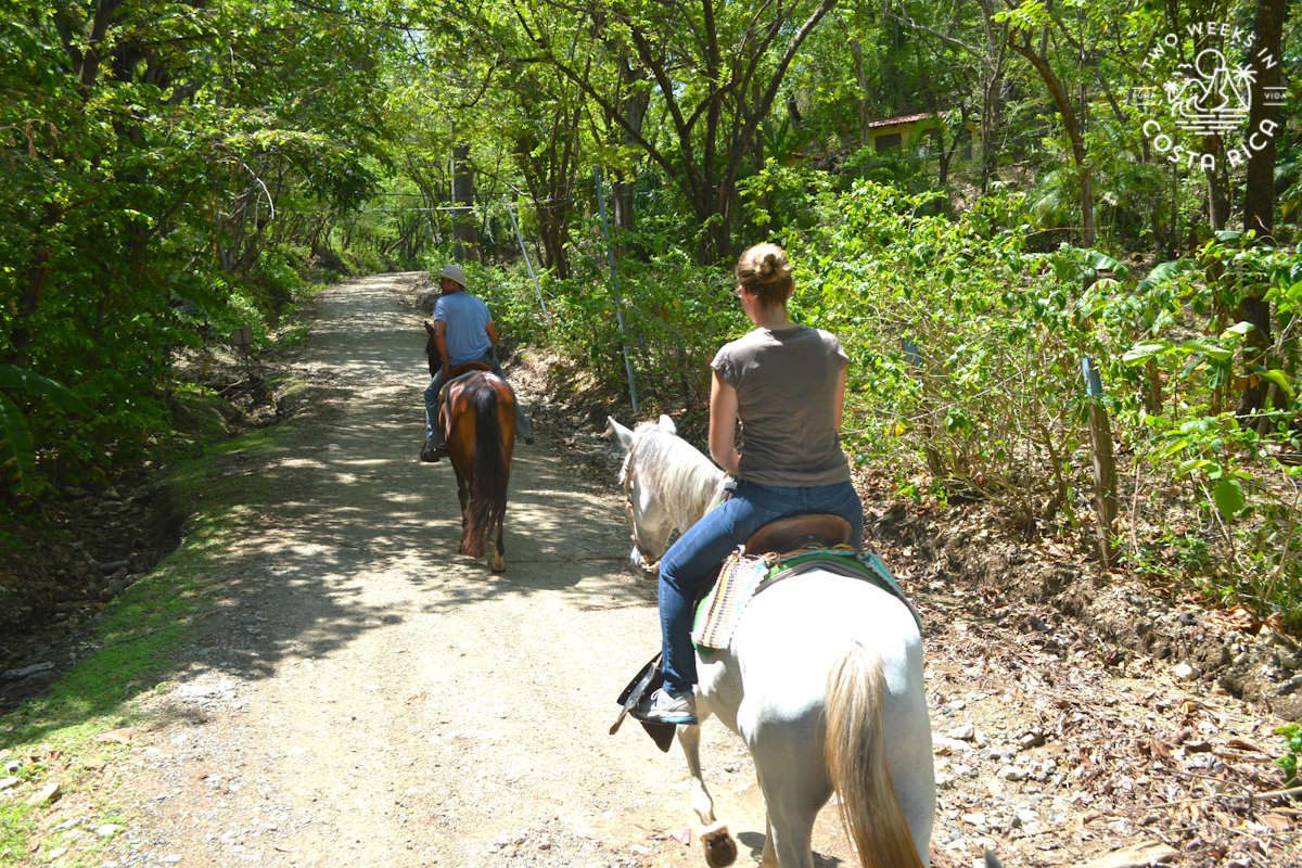 people riding horses with a guide