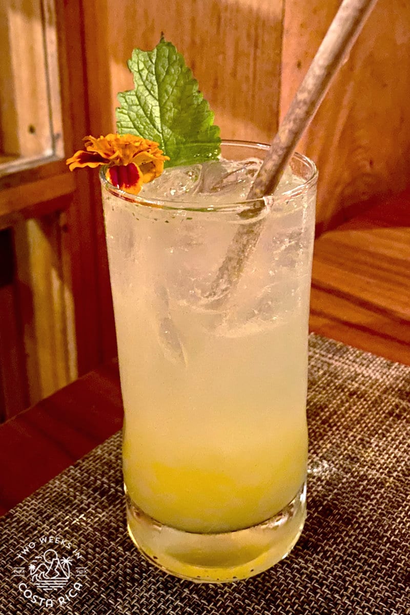 a gin cocktail garnished with mint and a flower